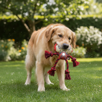 Dog toy The Avengers Red 13,0 x 11,0 x 18,0 cm