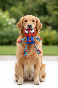 Hračka pro psa Spider-Man Červený 8,0 x 13,0 x 26,0 cm