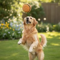 Soft toy for dogs Gloria Hamburdog Hamburger