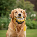 Dog toy Harry Potter