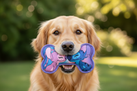 Dog toy Stitch 23 x 12 x 3 cm