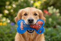 Hundleksak Spider-Man 23 x 12 x 3 cm