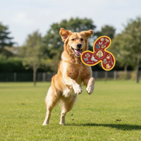 Frisbee Harry Potter Dark Red 23,0 x 23,0 x 3,0 cm