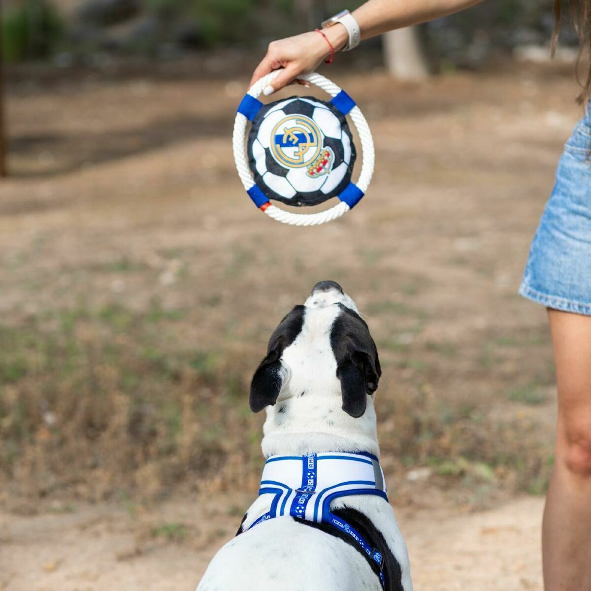 V4HAF34C54344F83DB35B796C991959C40DR7021653P2