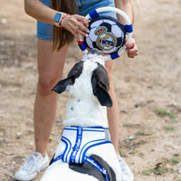 V4HF060AF440EEF430ED6DBA4AC614041DDR7021654P3