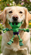 Dog toy The Avengers   Green 8,0 x 13,0 x 26,0 cm
