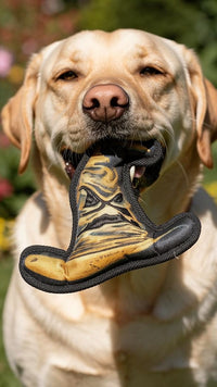 Hračka pro psa Harry Potter